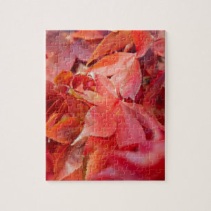 Herfst Rode Esdoornbladeren Legpuzzel