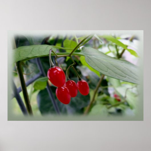 Herfst rode stippen poster (Voorkant)