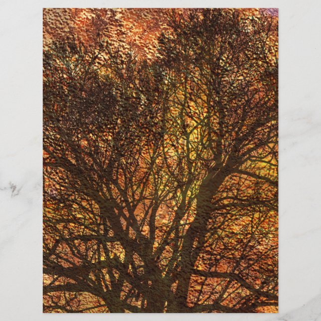 Herfst Rustic Texture Tree Scrapbooking (Voorkant)