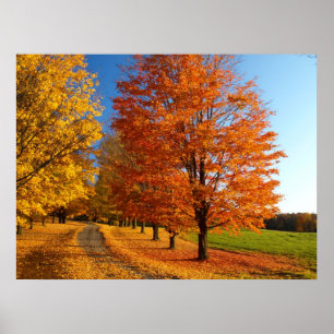 Herfst scène in Vermont Poster