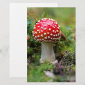 Herfst schoonheid briefpapier (Voorkant / Achterkant)