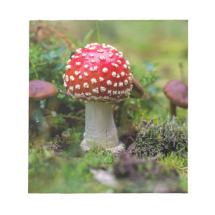 Herfst schoonheid notitieblok