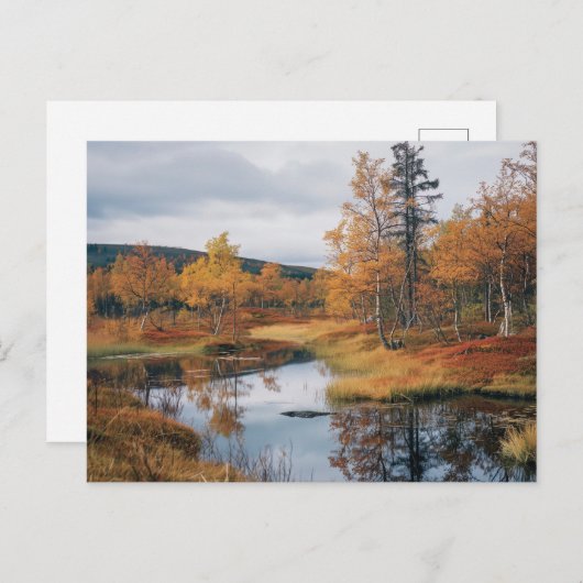 Herfst Serenade Finse Ruska Reflections Briefkaart (Voorkant / Achterkant)