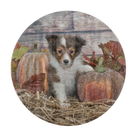Herfst Sheltie Puppy Snijplank (Voorkant)