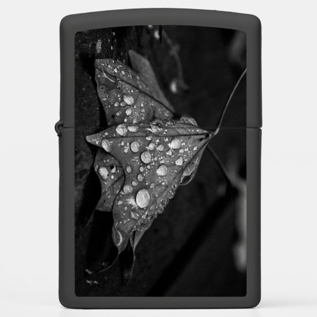 Herfst Showers (Voorkant)