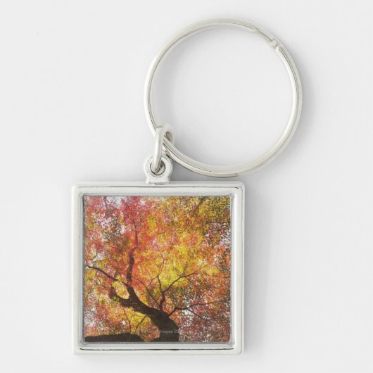 herfst sleutelhanger (Voorkant)