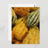 Herfst Squash Briefkaart (Voorkant / Achterkant)