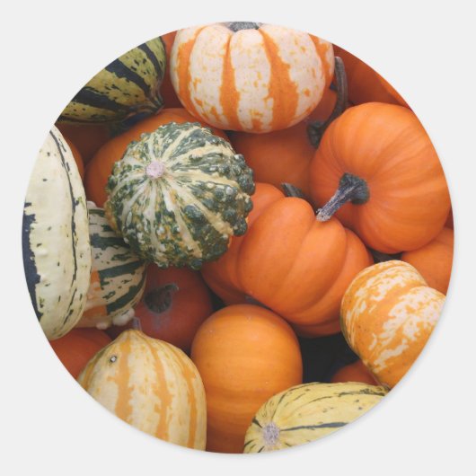 Herfst squash oogst ronde sticker (Voorkant)