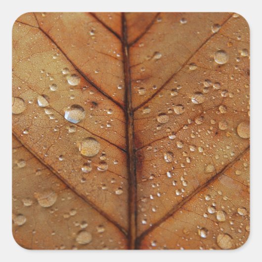Herfst Sticker (Voorkant)