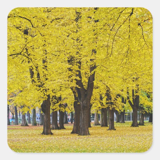 Herfst Sticker (Voorkant)