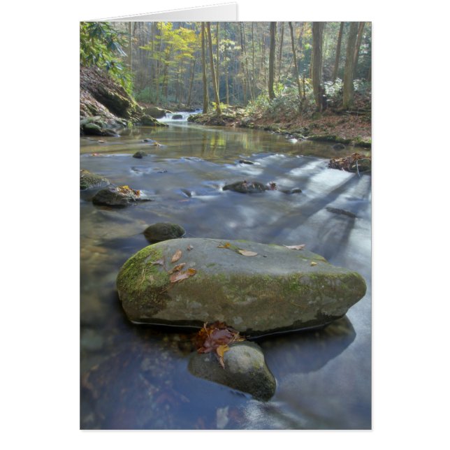 Herfst Stream (Voorkant)