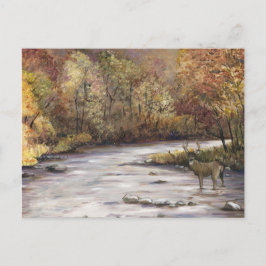 Herfst Stream Art Briefkaart