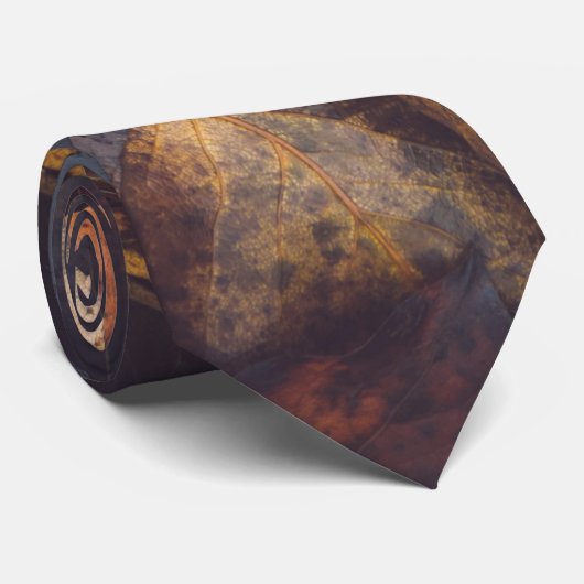 Herfst Stropdas (Opgerold)