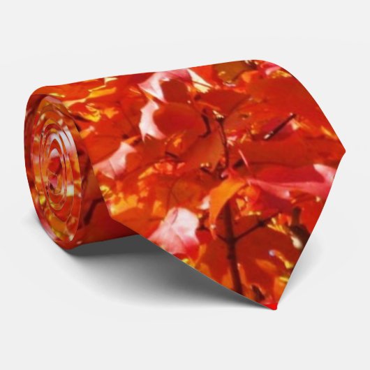 Herfst Stropdas 2 (Opgerold)