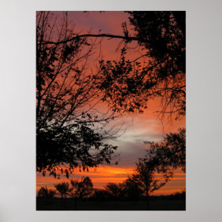 Herfst Sunrise Poster