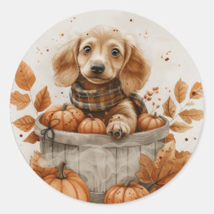 Herfst teckel honden pompoen ronde sticker