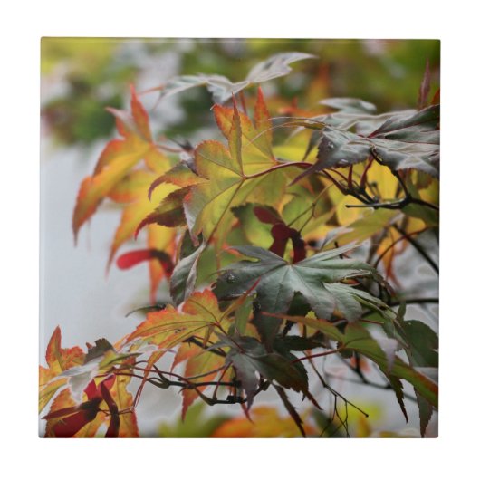 Herfst Tegeltje (Voorkant)
