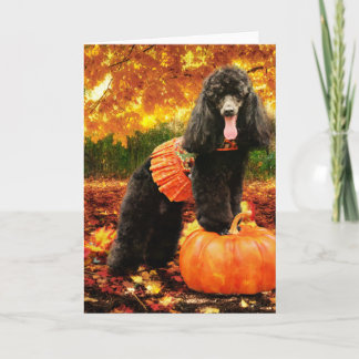 Herfst Thanksgiving - Gidget - Poedel Feestdagen Kaart