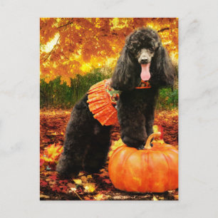 Herfst Thanksgiving - Gidget - Poedel Feestdagenkaart