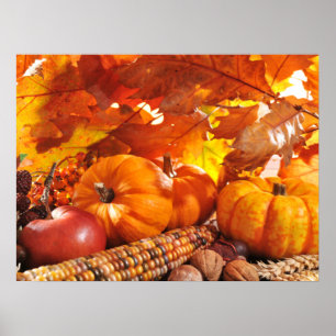 Herfst Thanksgiving Harvest - Pumpkins, Corn, Appl Poster