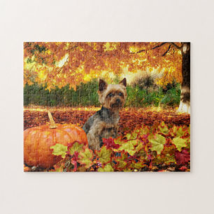 Herfst Thanksgiving - Tucker - Yorkie Legpuzzel