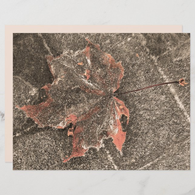 Herfst Thaple Leaf  Sepia Autumn (Voorkant / Achterkant)