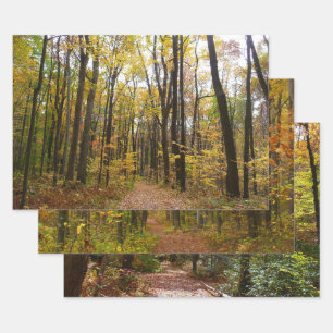 Herfst Trail en Golden Leaves in Laurel Hill Park Inpakpapier Vel