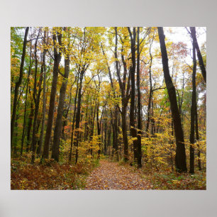 Herfst Trail en Golden Leaves in Laurel Hill Park Poster