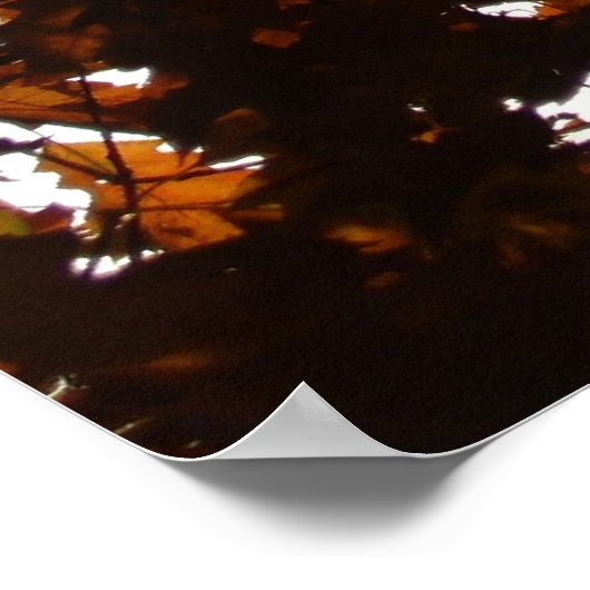 Herfst transparant poster (Hoek)