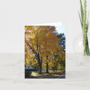 Herfst Tree - "Our Street" Opmerking Kaart