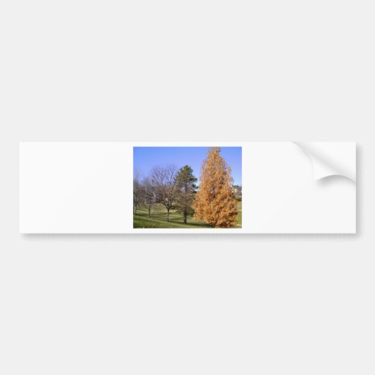 Herfst Trees Bumpersticker (Voorkant)