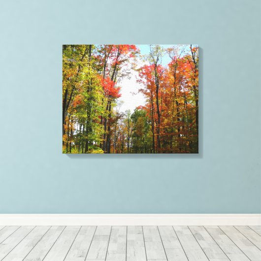 Herfst Trees en Blue Sky Autumn Natuur Fotografie Canvas Afdruk (Insitu (Houten vloer))