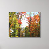 Herfst Trees en Blue Sky Autumn Natuur Fotografie Canvas Afdruk (Voorkant)