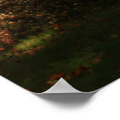 Herfst Trees Poster (Hoek)