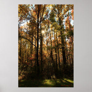 Herfst Trees Poster