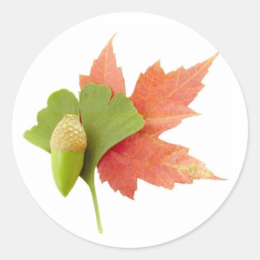 Herfst Trio Ronde Sticker (Voorkant)
