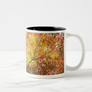 herfst tweekleurige koffiemok