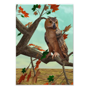 Herfst-uil esdoorn boom wild life kunst foto afdruk