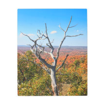 Herfst uitzicht op Mount Bohemia