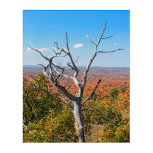 Herfst uitzicht op Mount Bohemia