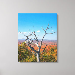 Herfst uitzicht op Mount Bohemia Canvas Afdruk
