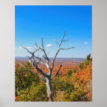 Herfst uitzicht op Mount Bohemia