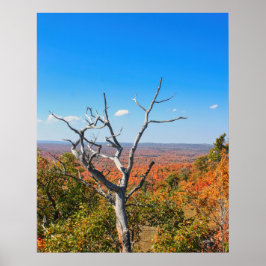 Herfst uitzicht op Mount Bohemia Poster