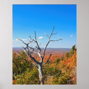 Herfst uitzicht op Mount Bohemia Poster