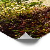 Herfst van de Park Pond - Fall Leaves Poster (Hoek)