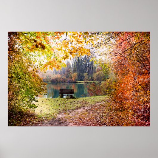 Herfst van de Park Pond - Fall Leaves Poster (Voorkant)