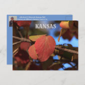Herfst van Kansas Briefkaart (Voorkant / Achterkant)