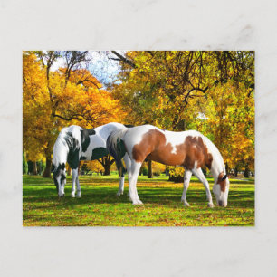 "Herfst vanmiddag" Briefkaart