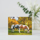 "Herfst vanmiddag"  Briefkaart (Staand voorkant)