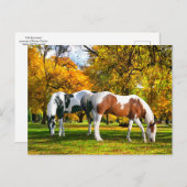 "Herfst vanmiddag"  Briefkaart (Voorkant / Achterkant)